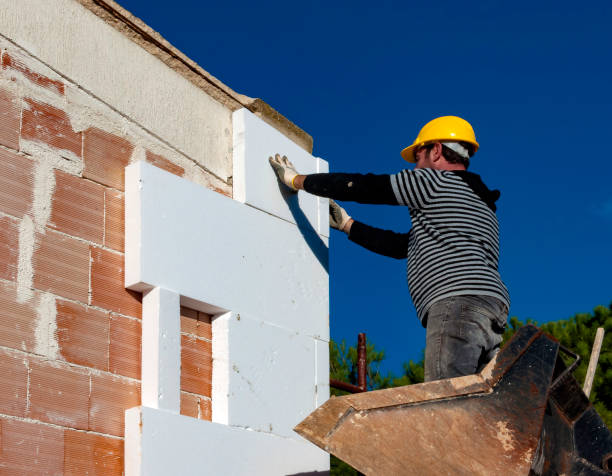 Best Geographic-Specific Insulation Services in Wahoo, NE