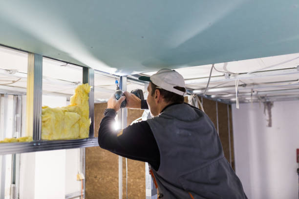 Best Spray Foam Insulation in Wahoo, NE